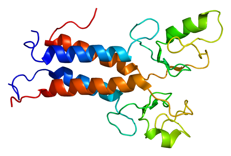 BRCA1-BARD1-Heterodimer