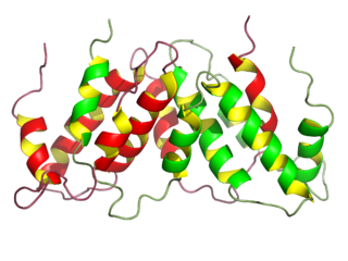 Interferon gamma